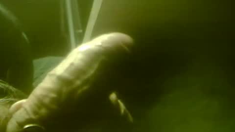 Snapshot of zaboski4 chatting on 12.01.25 zaboski4 online show from 12.01.25