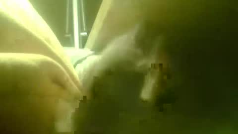 zaboski4 online show from 03.18.26