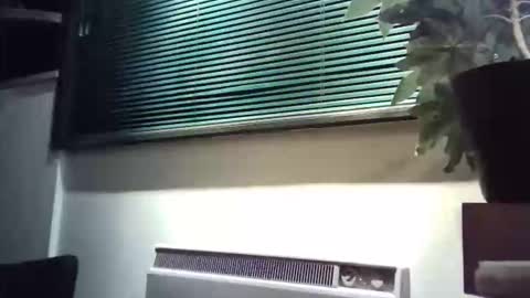 zalina2 online show from 03.08.26