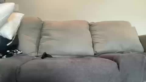 Zane D online show from 10.11.25