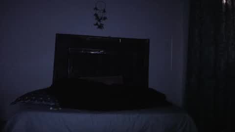 Zara online show from 01.27.25