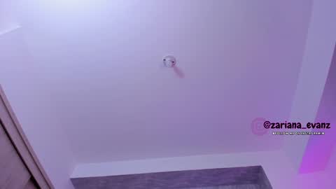 Snapshot of zarianaevanz chatting on 12.28.24 Zariana online show from 12.28.24