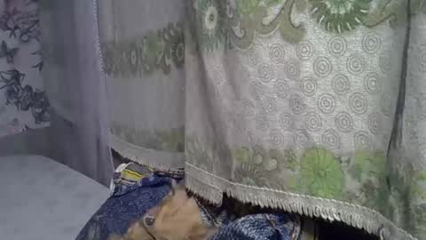 Snapshot of zarinamarlin chatting on 05.05.26 zarinamarlin online show from 05.05.26