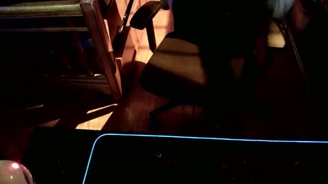 Zerces online show from 12.30.24