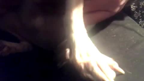 zero online show from 03.07.25