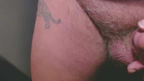 bambi cumslut online show from 01.17.26