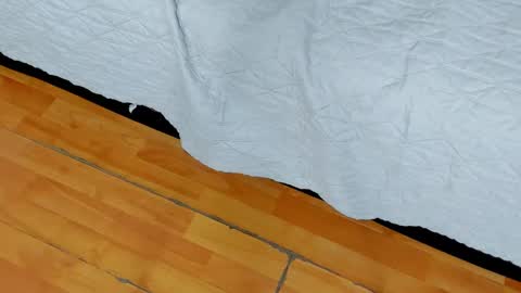 zia online show from 01.27.25