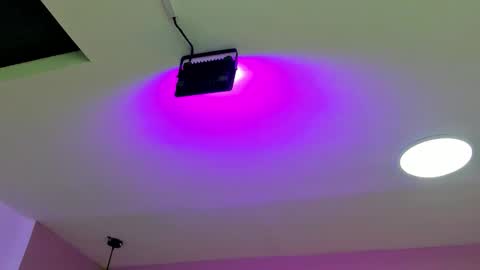 zia online show from 09.22.25