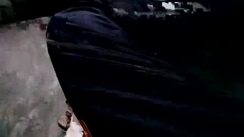 zitojose73 online show from 02.11.25