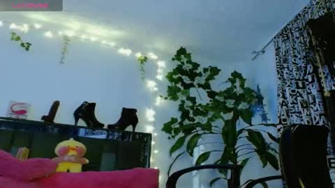 zoemi online show from 01.24.25