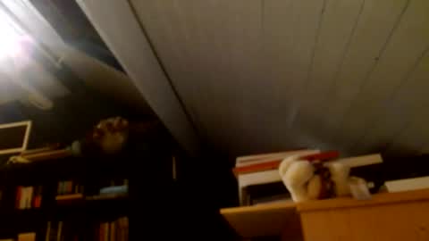 Snapshot of zolexthomas chatting on 01.15.25 zolexthomas online show from 01.15.25