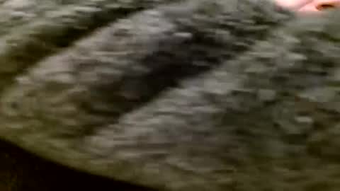 Snapshot of zolexthomas chatting on 01.28.25 zolexthomas online show from 01.28.25