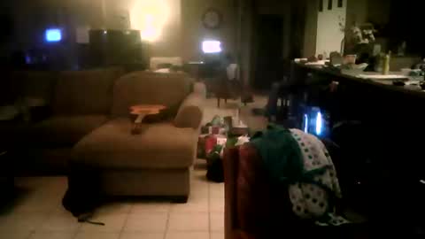 zooroxxx101 online show from 04.22.26