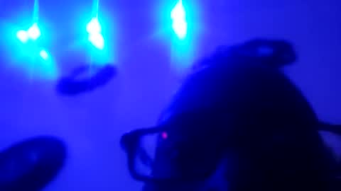 zooted12 online show from 05.11.26