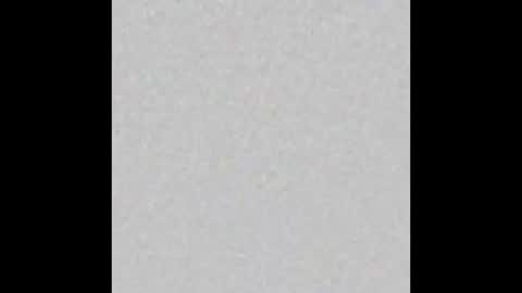 Zophy online show from 02.11.26