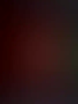 EvaMoet online show from 11.01.25