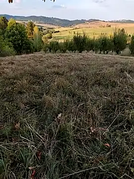 Snapshot of Nishu12356g chatting on 09.08.25 Nishu12356g online show from 09.08.25