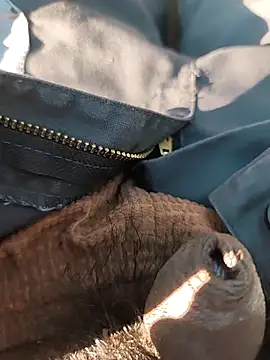 Snapshot of Nishu12356g chatting on 09.20.25 Nishu12356g online show from 09.20.25