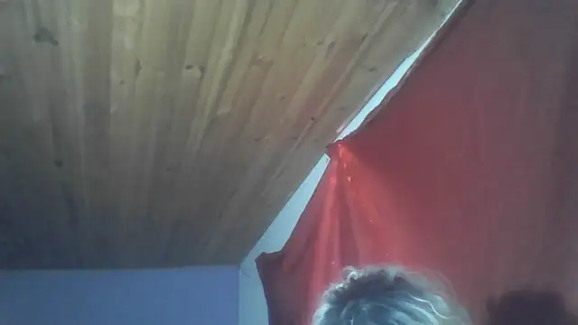 roxana collins online show from 10.31.25