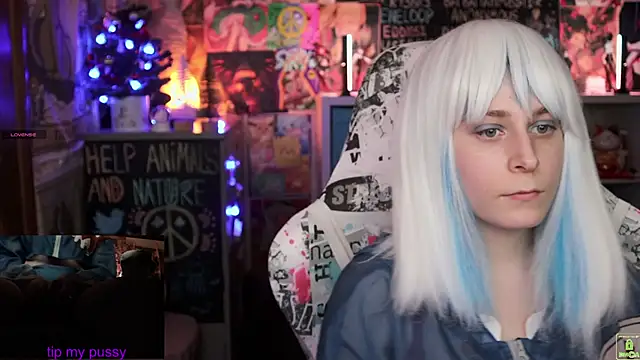 ShiroiFubuki online show from 01.25.25