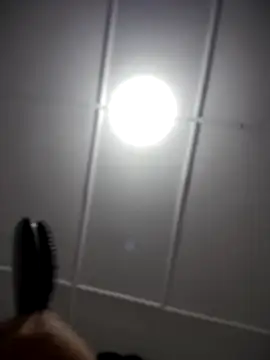 Lia flowers online show from 11.02.25