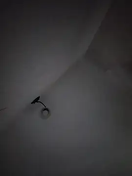 LissaThompsom online show from 03.04.26