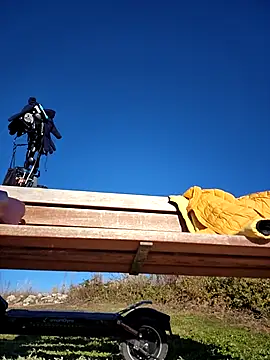 bellapaty online show from 12.03.25