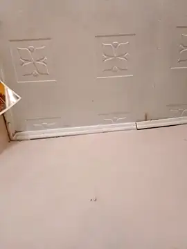 Snapshot of pretty-donna chatting on 10.21.25 pretty-donna online show from 10.21.25