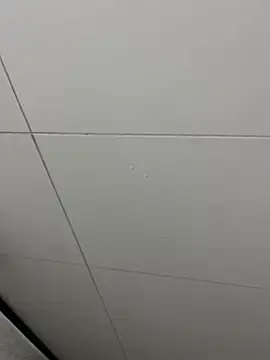 Tintola online show from 02.23.26