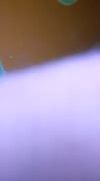 Snapshot of ducicsajsziii chatting on 01.28.25 ducicsajsziii online show from 01.28.25