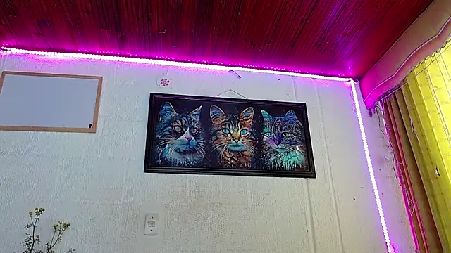 Niky 777 online show from 02.05.25