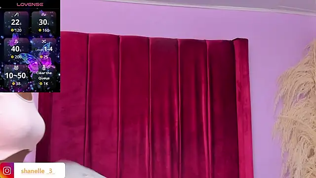 Snapshot of Shanelle__ chatting on 02.15.26 Shanelle online show from 02.15.26