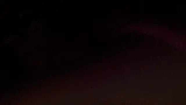 ROXYNL online show from 02.11.25