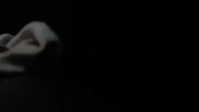 VARGAcz online show from 02.04.26