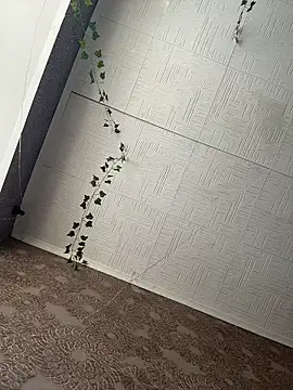 Snapshot of AmmyHot chatting on 02.23.26 AmmyHot online show from 02.23.26