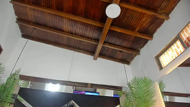 emily-fox online show from 03.26.26