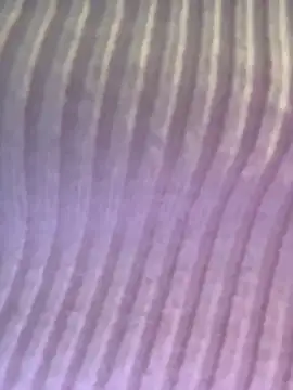 Isabellafantazy online show from 12.16.25