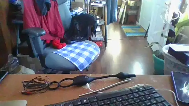 Snapshot of Daremeknot chatting on 12.12.24 Daremeknot online show from 12.12.24