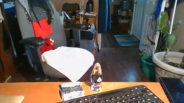 Snapshot of Daremeknot chatting on 12.31.24 Daremeknot online show from 12.31.24