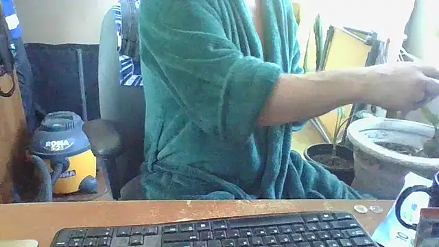 Snapshot of Daremeknot chatting on 02.01.25 Daremeknot online show from 02.01.25