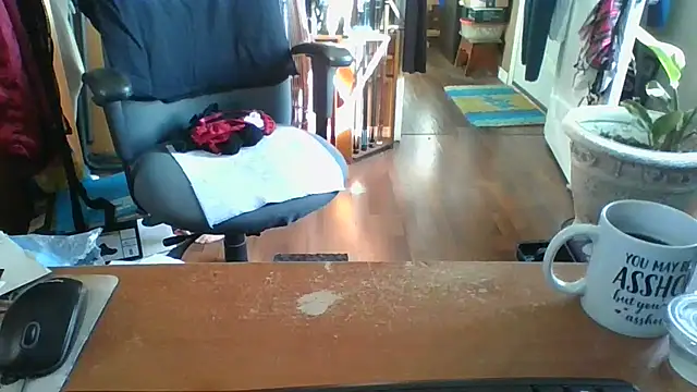 Snapshot of Daremeknot chatting on 10.02.25 Daremeknot online show from 10.02.25