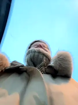 LikaCat online show from 11.12.25