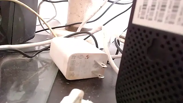 bardotbigcockts online show from 09.25.25