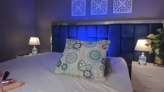 Snapshot of thecrazyadamss_ chatting on 01.18.25 thecrazyadamss online show from 01.18.25