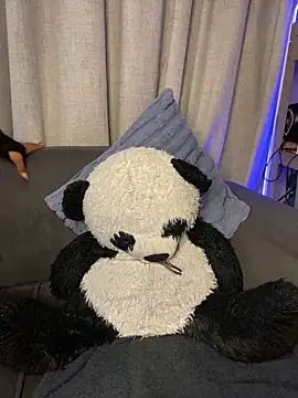 YellowHoneyDip online show from 02.19.26