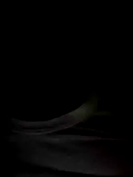 Snapshot of Mr_Perfect_Man chatting on 01.08.25 Mr Perfect Man online show from 01.08.25