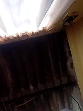 Snapshot of dantero chatting on 02.27.25 dantero online show from 02.27.25