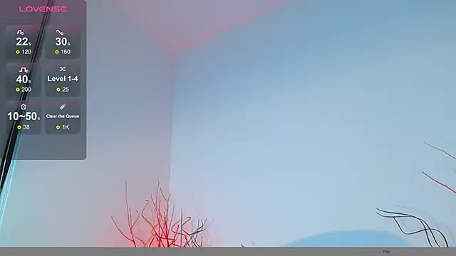 mike wallace online show from 12.12.24