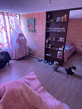 Sachi Meow online show from 02.25.26