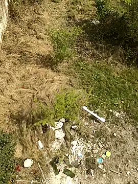 lund lol online show from 02.24.25